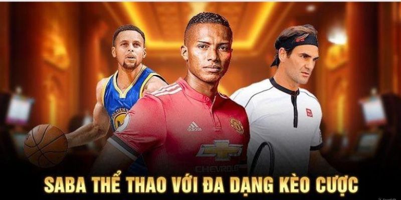 Top 3 kèo thể thao được cộng đồng cược thủ yêu thích nhất